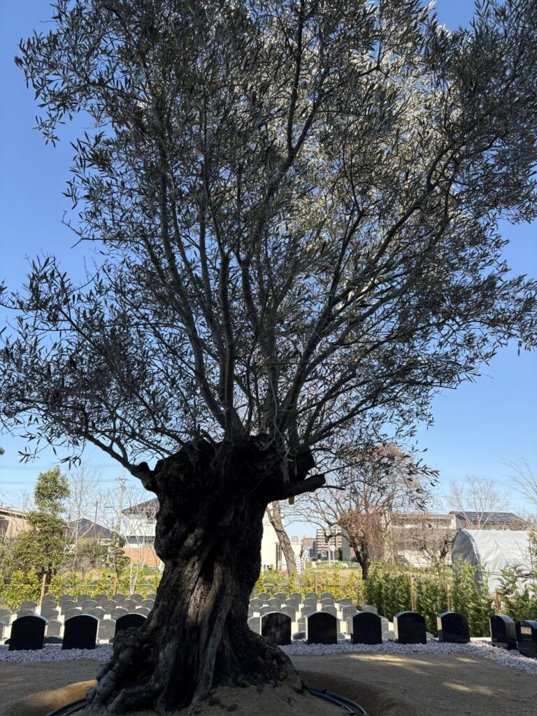 刈谷はなえみ樹木葬の墓石区画⑦｜ペット可 生前購入可 刈谷市 永代供養付き樹木葬