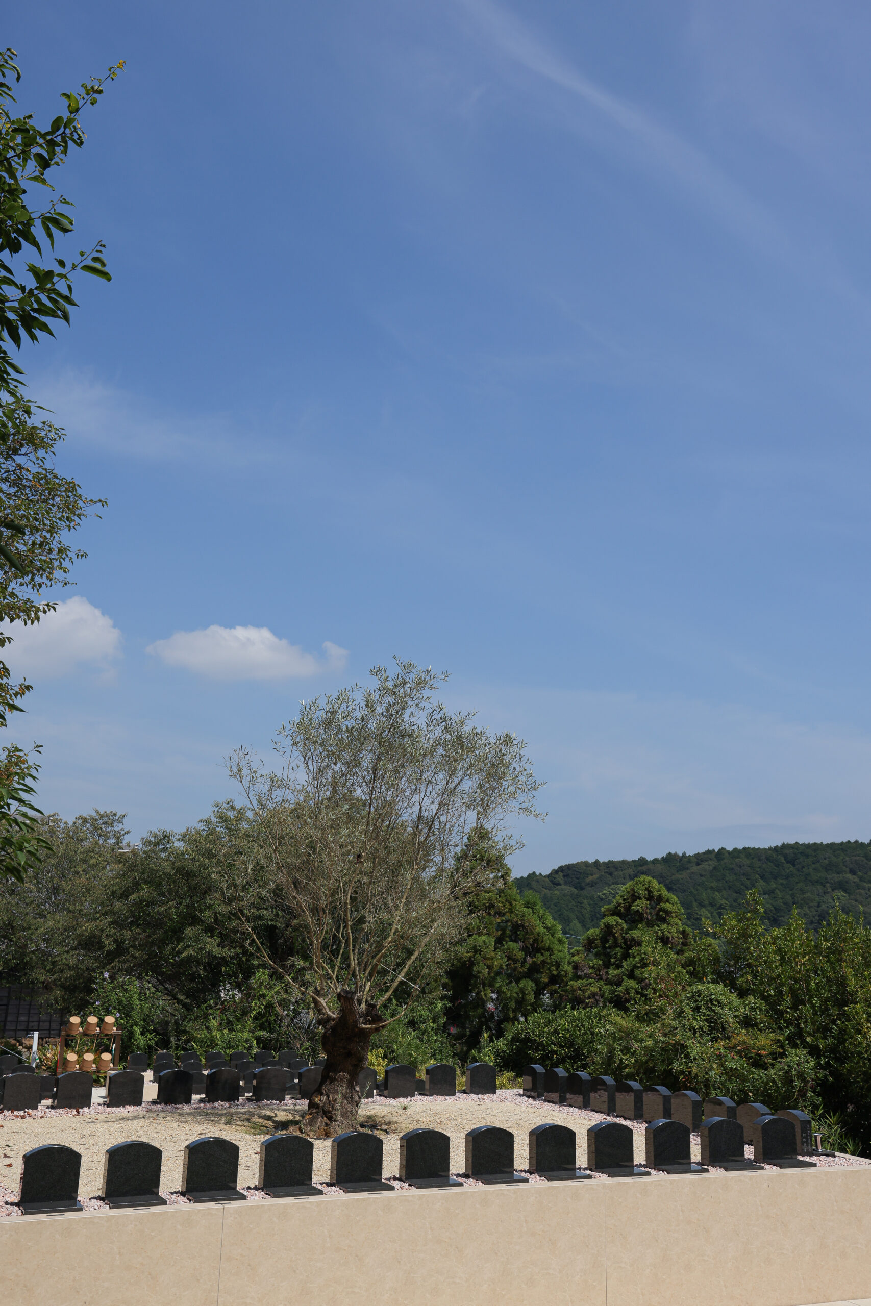 岡崎東はなえみ樹木葬｜はなえみ墓園