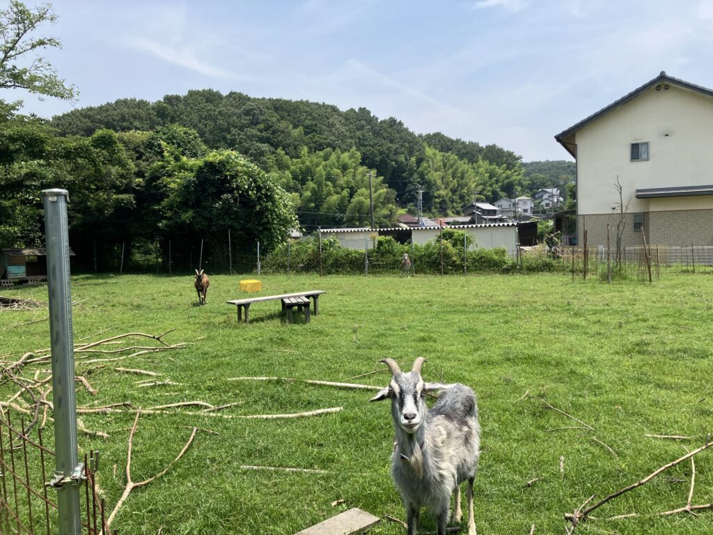 浄土真宗大谷派 顕正寺 境内全景⑥｜豊田市岩倉町西脇71 豊田市営古瀬間墓地より車10分