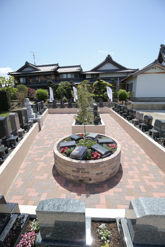 一宮丹陽はなえみ樹木葬の全景｜オリーブと多彩な樹木葬区画