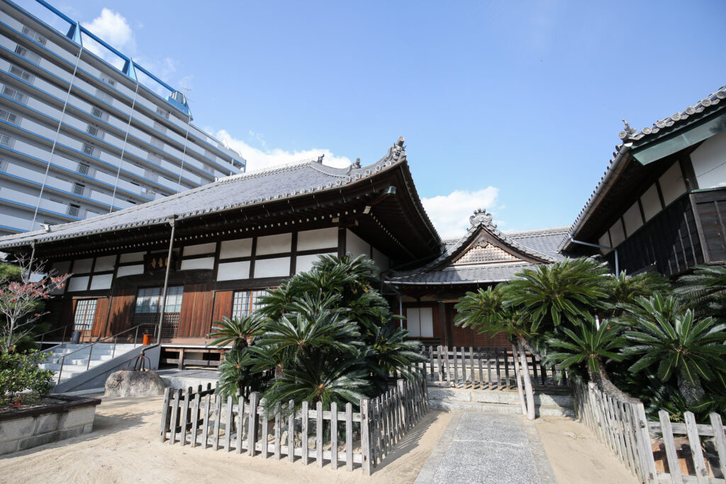 海音寺の伽藍全景｜創建703年・常滑市大野町の臨済宗妙心寺派寺院