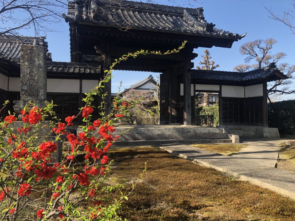 秋の妙法寺境内に色づくもみじ｜一宮市丹陽町の紅葉