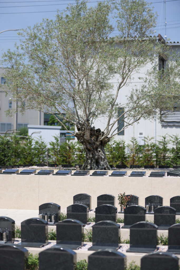蒲郡はなえみ樹木葬（覚性院）墓園実景②｜清潔な墓石区画と緑の植栽 蒲郡市西浦町