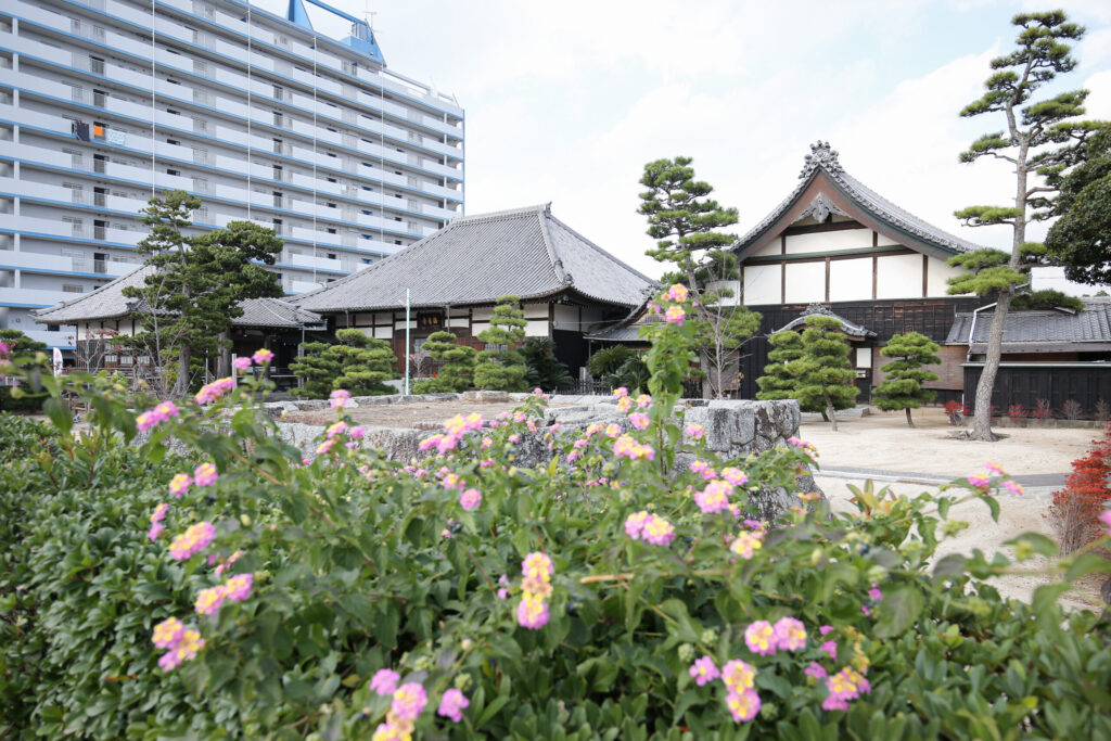 221104豬ｷ髻ｳ蟇ｺ讒・cu-4