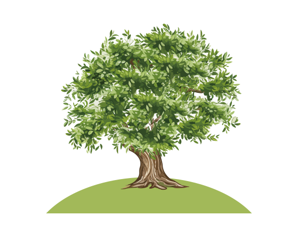 岡崎東はなえみ樹木葬のしくみ③｜追加費用ゼロで永代供養・合祀・墓じまい