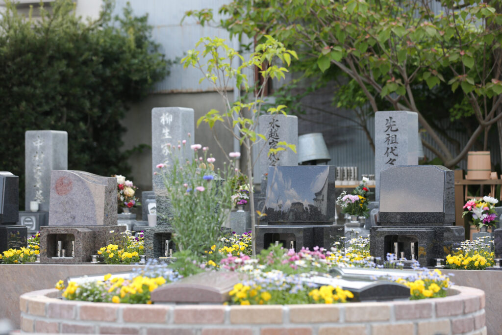 豊橋下地はなえみ墓園 既存檀家墓地 「柳生家代々」「水越家代々」「先祖代々」 黄色パンジー・ピンクナデシコの花壇 ハナミズキ若木 鐘