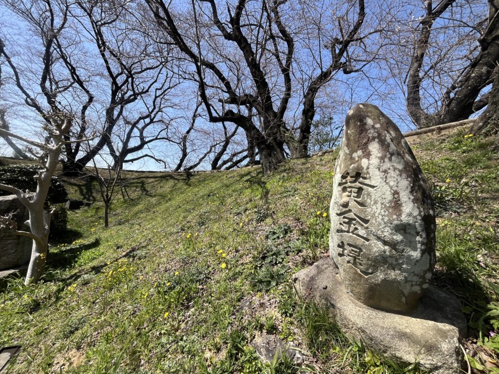 黄金堤 桜の名所 吉良上野介義央公が築いた西尾市指定史跡