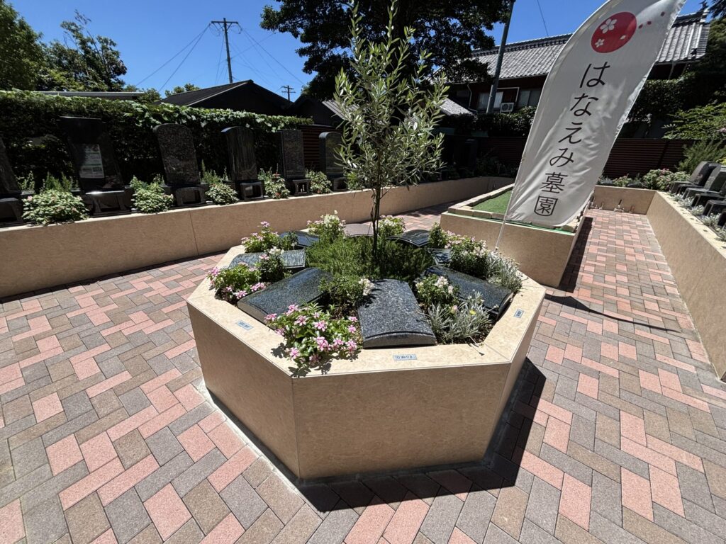 西尾吉良はなえみ墓園 オリーブの若木を中心に板型墓石を六角形配置 樹木葬区画03-08/03-09 ピンクニチニチソウ ローズマリー はなえみフラッグ