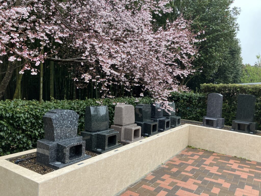 西尾吉良はなえみ墓園 区画02-05 頭上に大きく広がる満開の桜の枝 洋型墓石5基 黒影・茶色・グレー・青影御影石