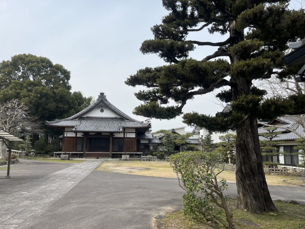 普門山 西福寺 境内全景｜手入れの行き届いた境内・松の老木・本堂｜岡崎市美合町西屋敷