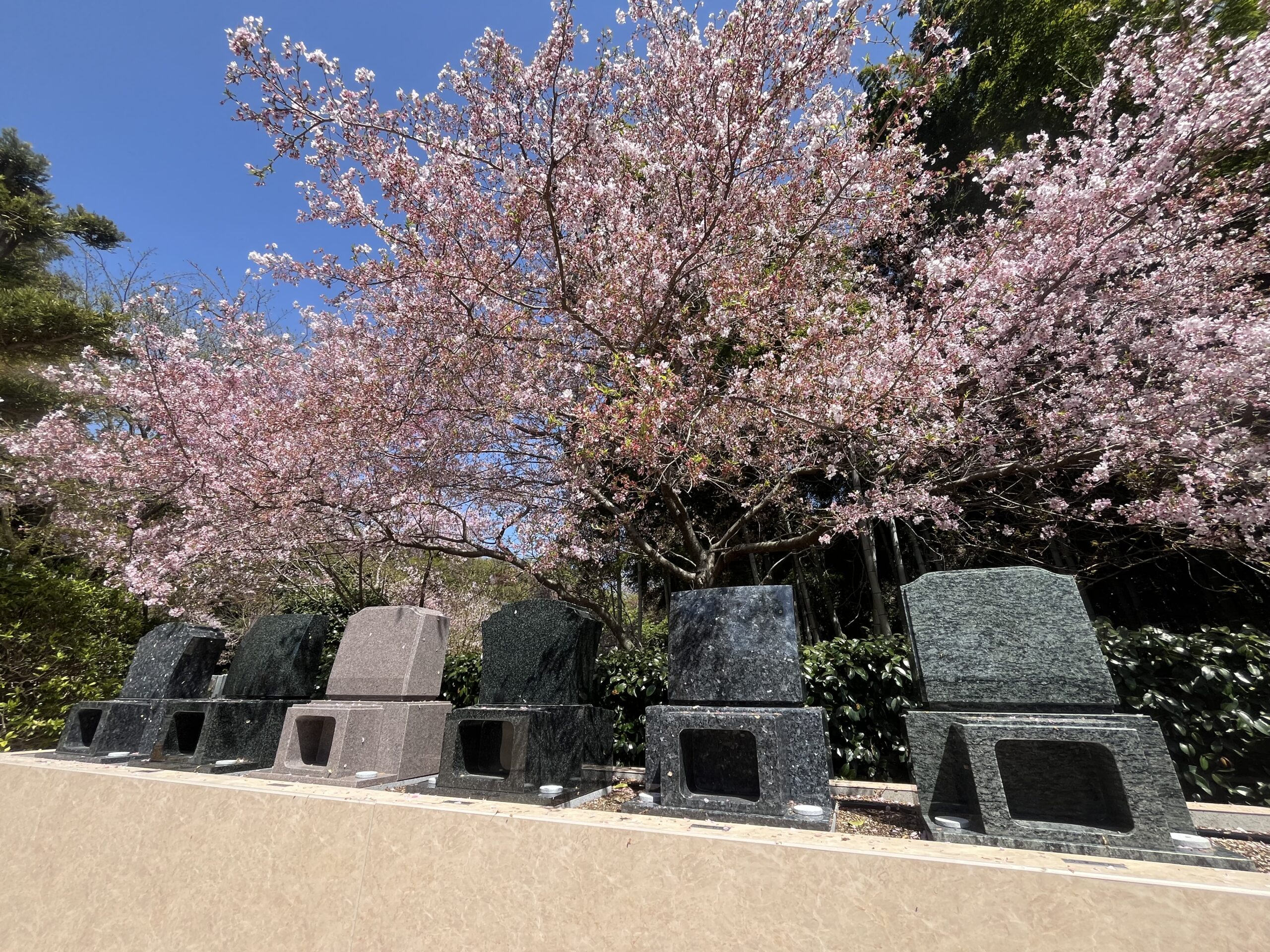 西尾吉良はなえみ墓園｜はなえみ墓園