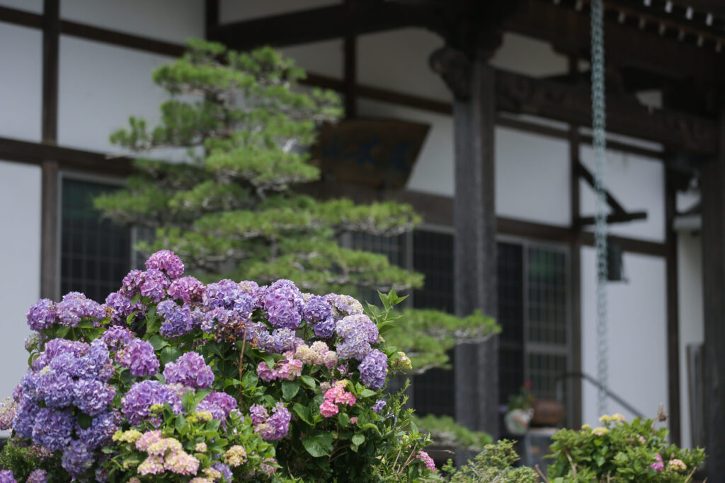 豊橋川崎はなえみ墓園の墓石列と養福寺境内。宗旨宗派を問わず使える寺院墓地で、毎年春と秋に合同供養が行われます。