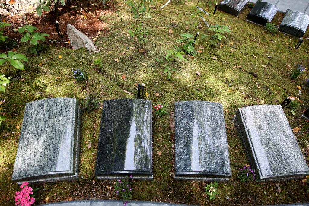 苔と草花の中に並ぶ板型墓石を上から見た様子（阿久比はなえみ墓園の樹木葬）